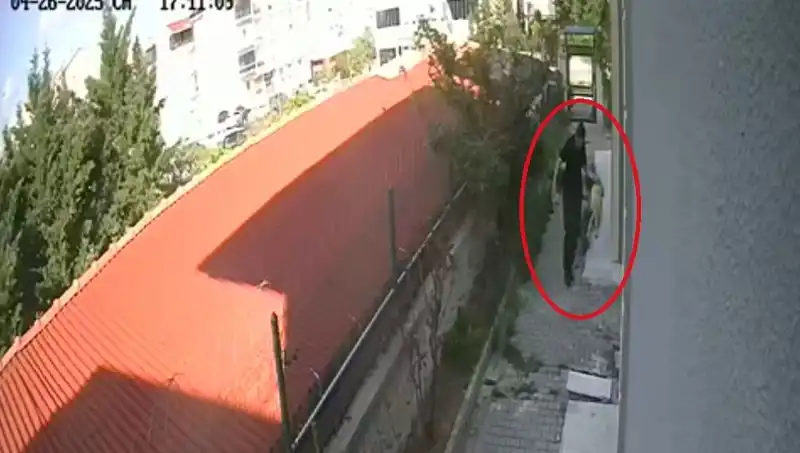 Evinde Köpekleri Öldüren Doktorun Şok Edici Tutuklanması