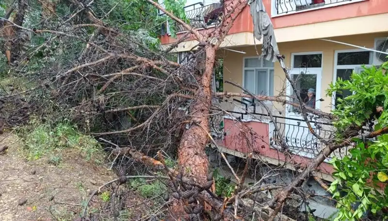 Yoğun Yağışlar, Tarihi Binayı Yerle Bir Etti: Dramatik Anlar