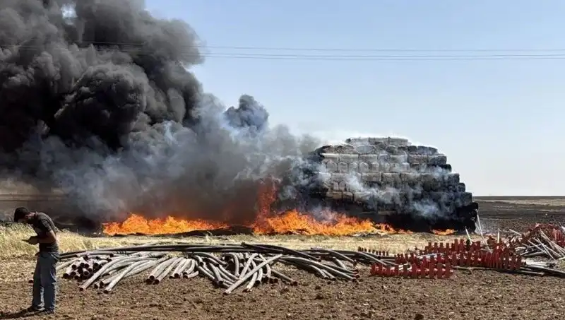 Mardin'de Anız Yangını: Tarım Alanları Tehlikede, Çiftçiler Ne Yapacak?