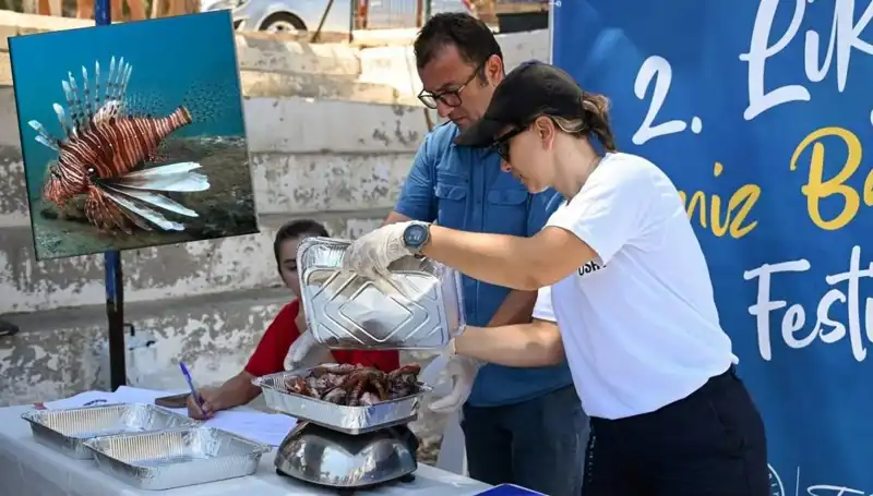 Antalya'da İstilacı Aslan Balığı Avlama Yarışması: Denizdeki Tehditle Mücadele