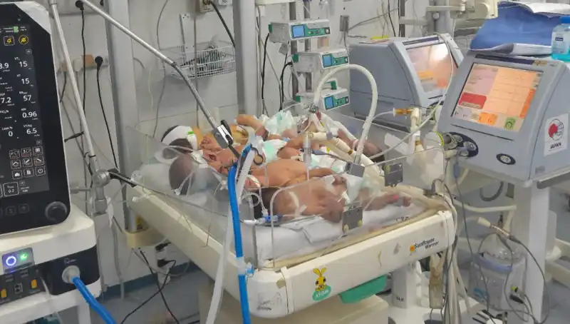 Gazzeli Doktorların Çağrısı: "Aynı Kuvözde Birden Fazla Bebek Yaşam Mücadelesi Veriyor"