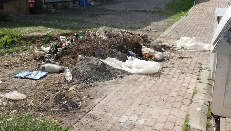 Antalya’da Gizemli Kedi Ölümleri: Vahşetin İzleri ve Gözaltılar