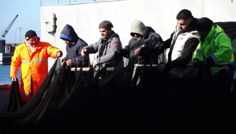 Denizlerde Hamsi Avı Sonlandı! Tekne Sahiplerinin Erken Paydos Kararı