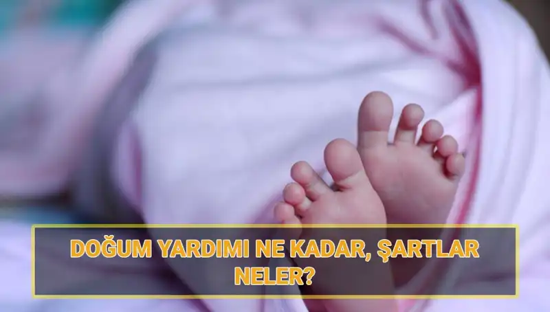 2025'te 5 Bin Lira Doğum Yardımı Başvurusu: Çocuk Parası İçin Adımlar