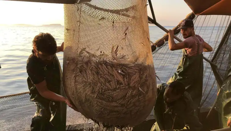 Balıkçılar Ücretlerini Arttırmak İçin İhlal Edenlere Ceza Kestiklerini Duyurdu