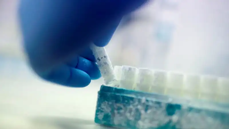 Tıbbi Felaket: 85 Sperm Donörü ile Zamanda Yolculuk Yapan Binlerce Çocuk