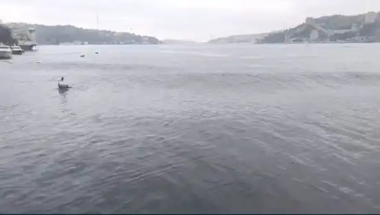 İstanbul'da Şiddetli Deprem! Denizde Yükselen Dalgalar Halkı Korkuttu