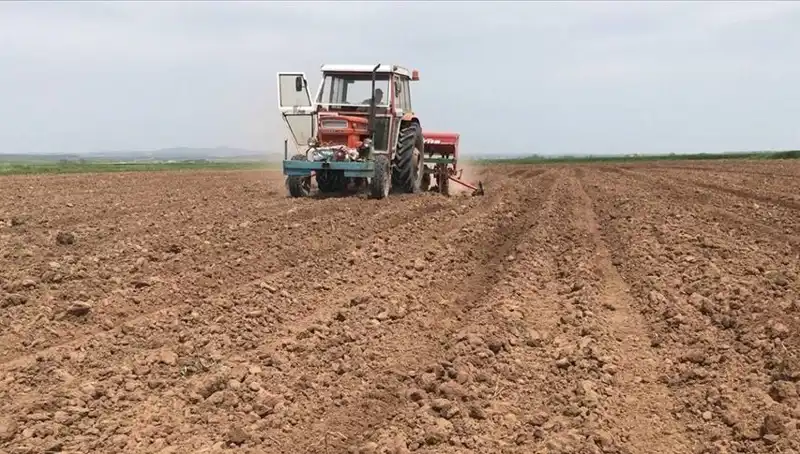 Son 35 Yılın En Kurak Mart Ayı: Türkiye'de Su Kaynakları Tehlikede!