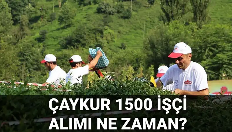 Çaykur İşçi Alımı Ne Zaman Gerçekleşecek? Başvuru Tarihleri Belli Oldu!