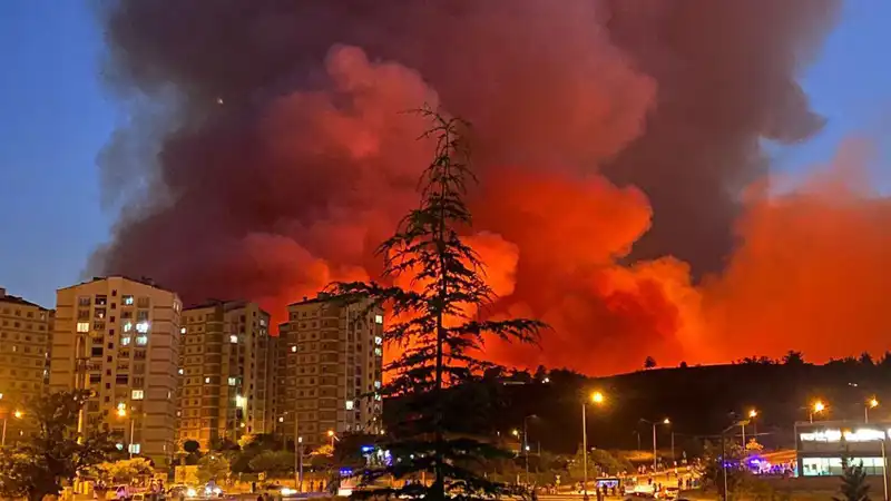 Bursa'daki Yangınlar Şehri Tehdit Ediyor: Neler Oluyor?