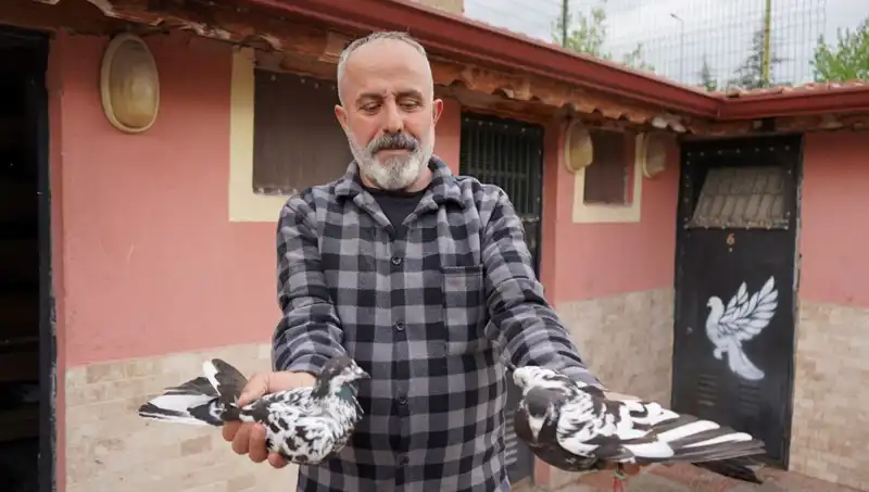 42 Yıllık Hobi Profesyonel Tesise Dönüştü: İl Dışından Yoğun Talepler!