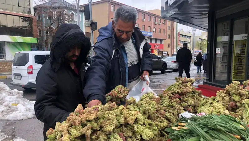 Kendiliğinden Yetişen Kanserle Savaşan Vitamin Deposunu Keşfedin