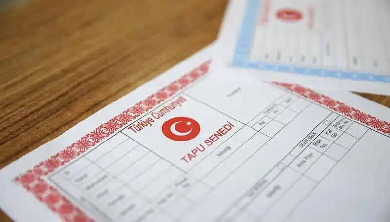 100 Milyonluk Hisseli Tapu Tuzağı: Gerçekler Ortaya Çıktı!