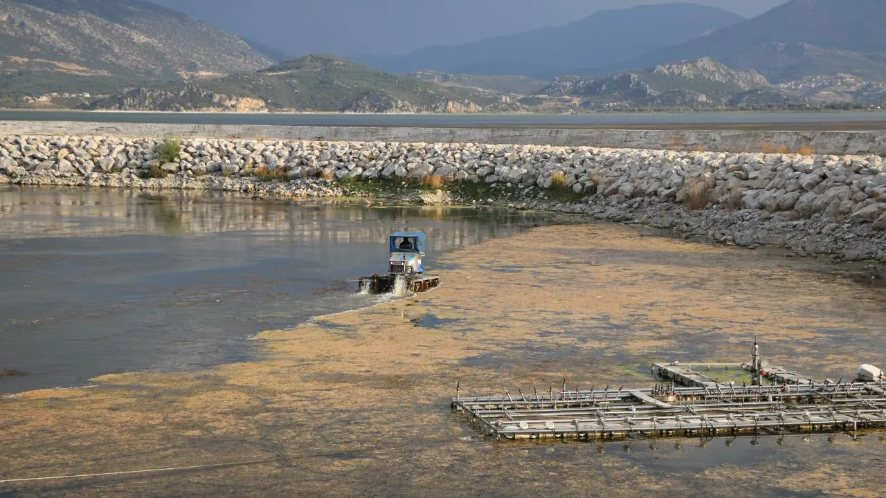 Eğirdir Gölü İçin Kurtarma Operasyonu Başladı: Ekosistem Koruma Hedefleniyor