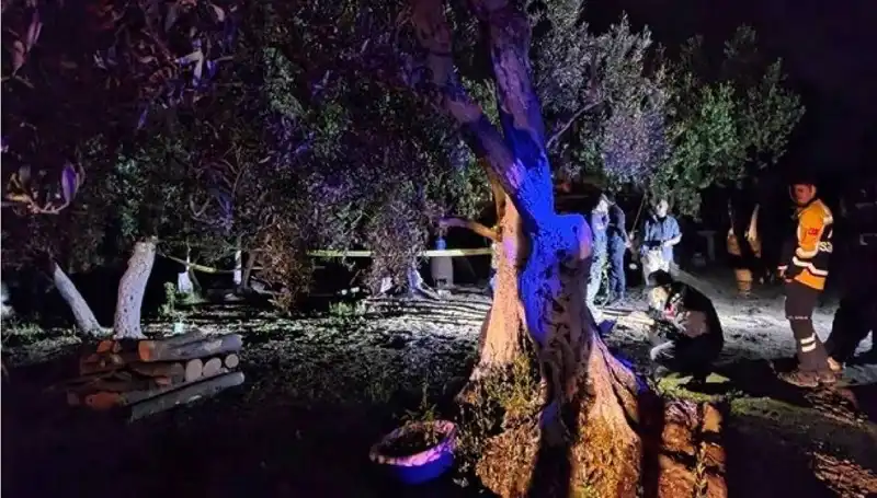 Çiftlikte Baltalı Vahşet: Olayın Ardındaki Gerçek Ortaya Çıktı