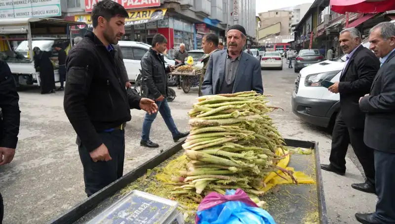 Dağlık Alanların Şifalı Bitkisi: Şeker, Kanser ve Mide Hastalıklarına İyi Geliyor!