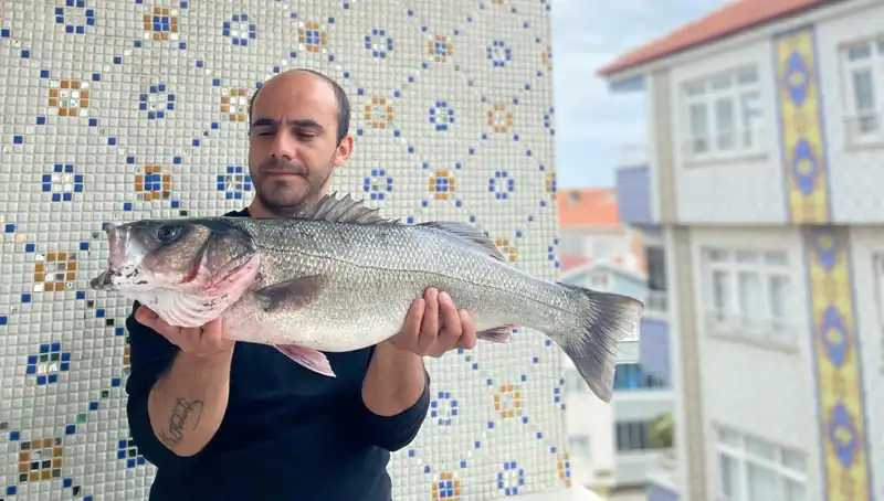 7,5 Kiloluk Dev Levrek: Balıkçıların Dikkatini Çeken Eşsiz Av