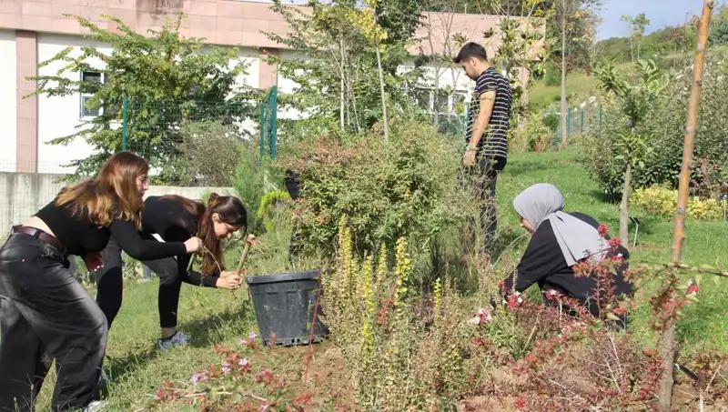Düzce'den Dünyaya Açılan Kapı: Hayaller Gerçek Oluyor