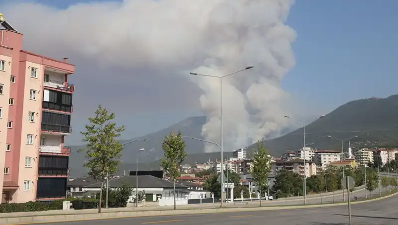 Denizli’deki Orman Yangınında Bir Şüpheli Gözaltına Alındı!