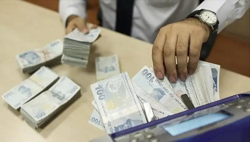 Türkiye'de Bireysel Emeklilik Sistemi Hızla Büyüyor: 17,36 Milyon Katılımcı