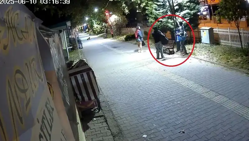 Aydınlatma Direklerindeki LED Işıkları Söküp Götüren Hırsız, Şehir İçin Kayıp Yarattı