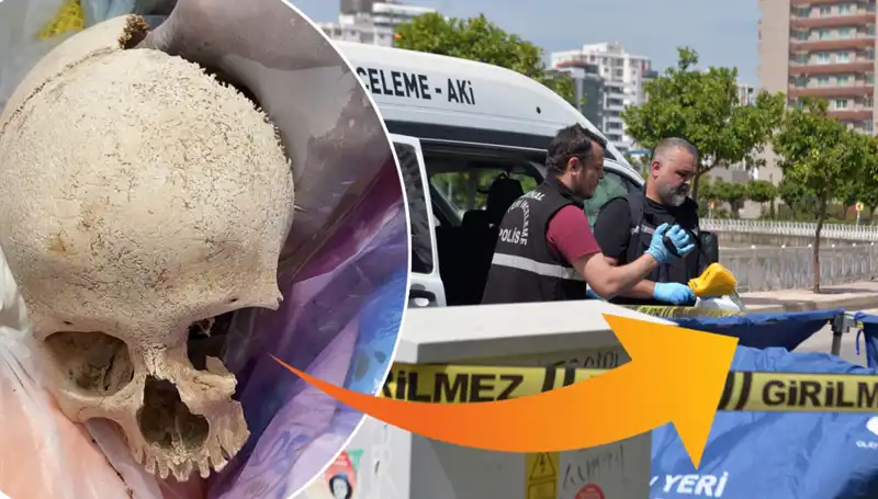 Sitenin Çöpünden Çıkan Kafatasının Gizemi, Uzman Doktorun Gözaltına Alınmasıyla Çözüldü!