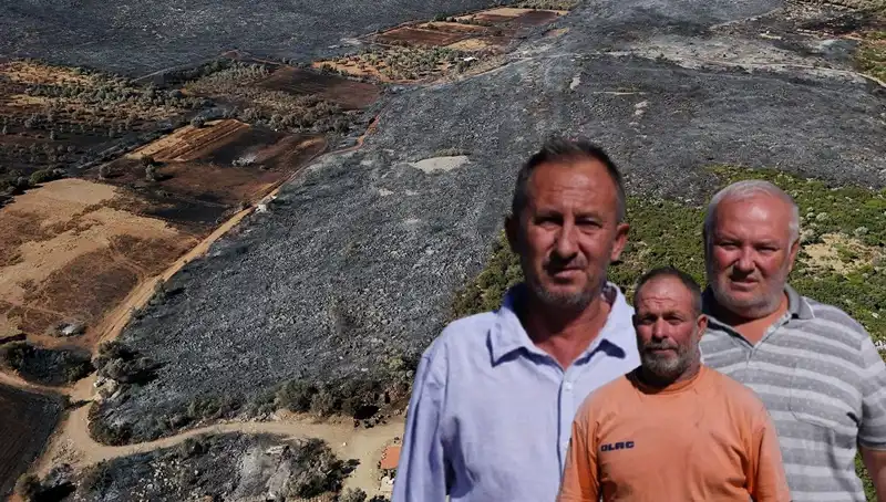 Çeşme Yangınında Yıkıcı Sonuçlar: "Her Şeyim Gitti" Diyor İşletmeci