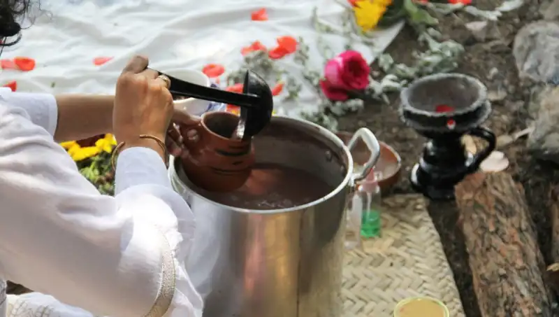 Ayahuasca Çayı: Yasal Durumu ve Faydaları Üzerine Merak Edilenler