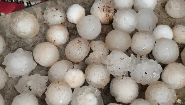 Şanlıurfa'yı Sarsan Kar Topu Büyüklüğündeki Dolu Felaketi