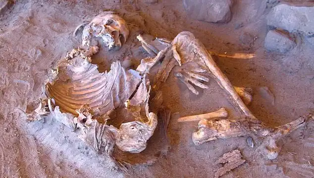 Yeni Mumya Keşfi, İnsanlığın Soy Ağacındaki Sıralamaları Sarsıyor!