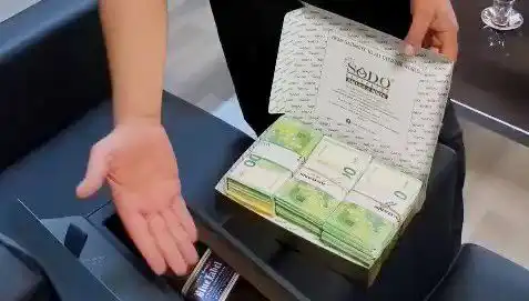 Manavgat Belediyesi'ne Şok Operasyon: Baklava Kutusundan Çıkan Avrupa Dolarları!